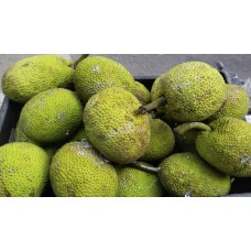 Breadfruit - Deegujje - Deevi halasu - ದೀವಿ ಹಲಸು -1KG - SEASONAL