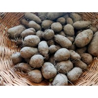  Kooka / ಸಾಂಬ್ರಾಣಿ / Chainese Potato - 1kg