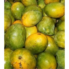 Kalapadi Mango fruit 1 kg