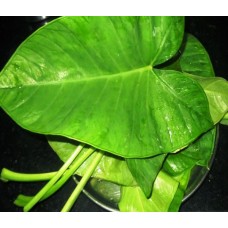 Kesuvina Soppu  -Colocassia Leaves  - Pack of 5